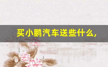 买小鹏汽车送些什么,买小鹏G6最新购车赠品