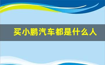 买小鹏汽车都是什么人