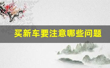 买新车要注意哪些问题,买车须知的18个常识