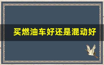 买燃油车好还是混动好,目前最成熟的混动汽车