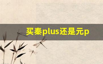 买秦plus还是元plus,买元还是秦好纠结