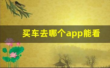 买车去哪个app能看到低价,同城买车用什么软件