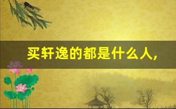 买轩逸的都是什么人,轩逸属于低档车吗