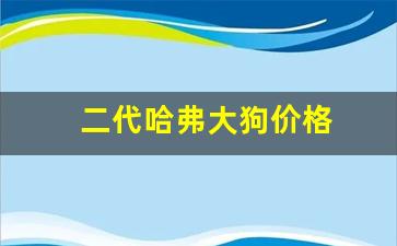 二代哈弗大狗价格