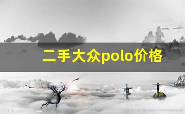 二手大众polo价格表,二手车菠萝2万左右图片