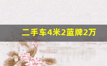 二手车4米2蓝牌2万左右,3万以下微卡小货车