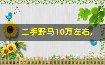 二手野马10万左右,17年野马二手车价格