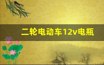 二轮电动车12v电瓶价格