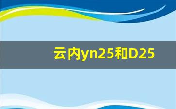 云内yn25和D25哪个发动机贵