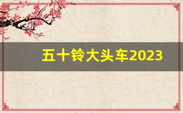 五十铃大头车2023款落地价,五十铃海外版大头车价格