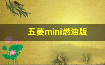 五菱mini燃油版