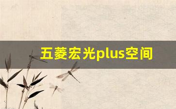 五菱宏光plus空间