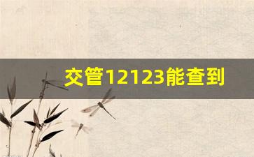 交管12123能查到扣分记录吗,12123当天就查到违章了