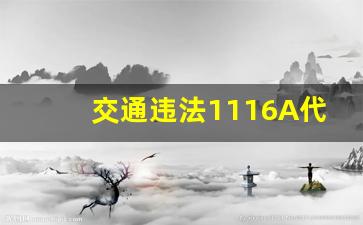 交通违法1116A代表什么,1115违章代码查询