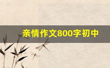 亲情作文800字初中生优秀作文