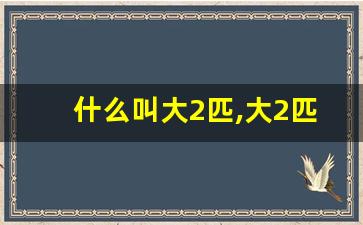 什么叫大2匹,大2匹和2匹空调的区别