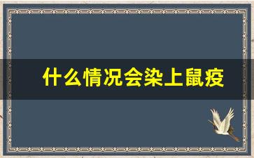 什么情况会染上鼠疫