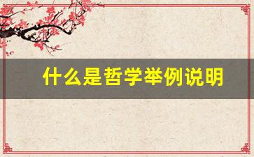 什么是哲学举例说明