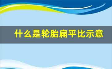 什么是轮胎扁平比示意图,轮胎没有扁平比显示