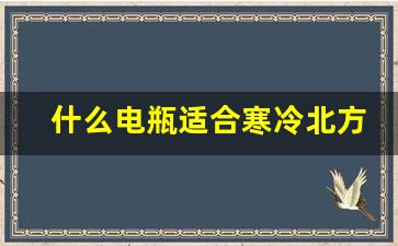 什么电瓶适合寒冷北方,耐低温电瓶和常电的区别