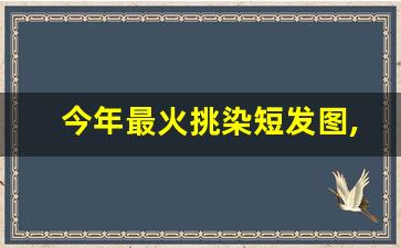 今年最火挑染短发图,挑染短发