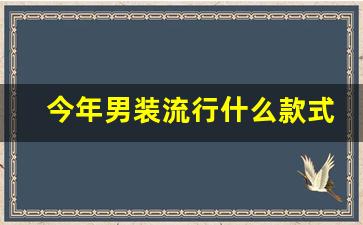 今年男装流行什么款式