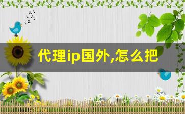 代理ip国外,怎么把ip地址弄成美国