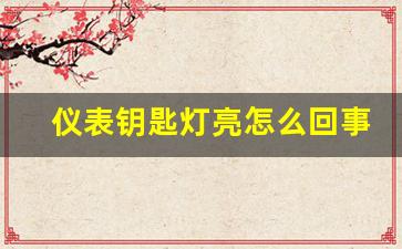 仪表钥匙灯亮怎么回事,车仪表盘有个钥匙灯亮了