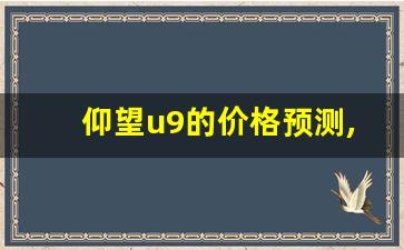 仰望u9的价格预测,ach币价格预测