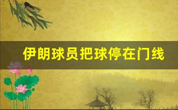 伊朗球员把球停在门线上,伊朗球员博哈尼结果怎么样