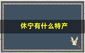 休宁有什么特产