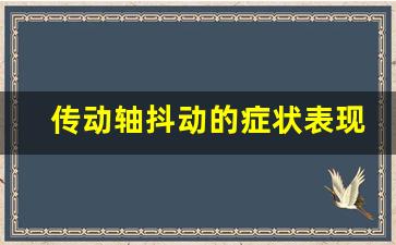 传动轴抖动的症状表现,更换传动轴算大修吗