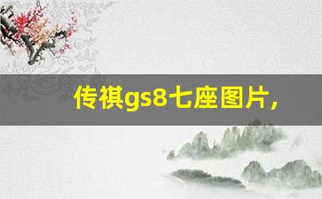 传祺gs8七座图片,广汽gs8是几座的