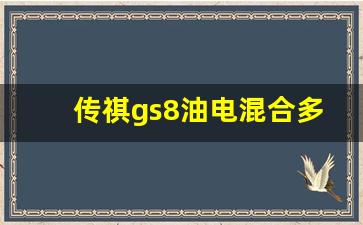 传祺gs8油电混合多少钱,gs8新款2024款详细配置单