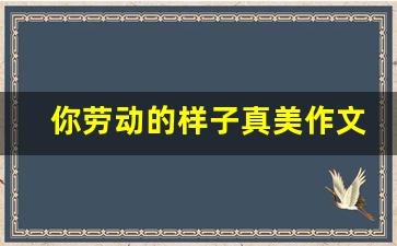 你劳动的样子真美作文800字