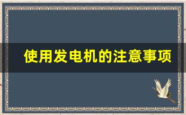 使用发电机的注意事项,发电机的防护措施有哪些