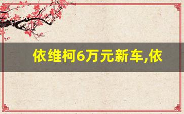 依维柯6万元新车,依维柯2024上市新款