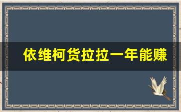 依维柯货拉拉一年能赚10万吗,有一辆依维柯怎么赚钱