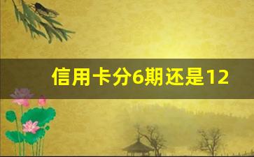 信用卡分6期还是12期好