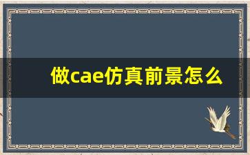 做cae仿真前景怎么样,CAE仿真工程师