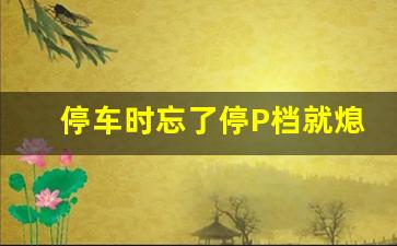 停车时忘了停P档就熄火,忘记挂P档直接熄火了要紧吗