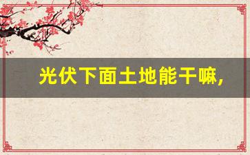 光伏下面土地能干嘛,可以做光伏项目的土地有哪些