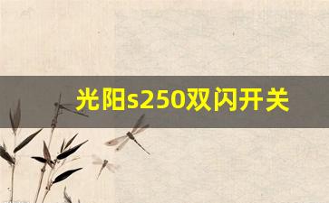 光阳s250双闪开关在哪,125摩托双闪开关在什么位置