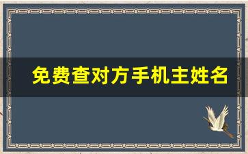 免费查对方手机主姓名,手机号码查对方身份信息