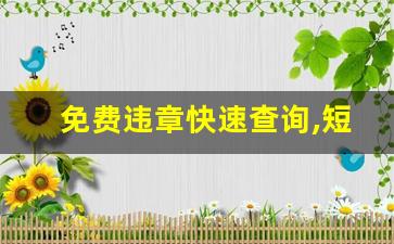 免费违章快速查询,短信查询违章交通违章怎么查询