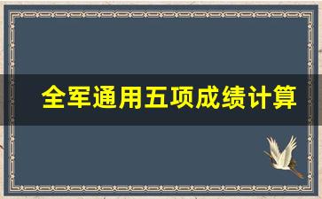 全军通用五项成绩计算器