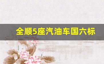 全顺5座汽油车国六标准报价