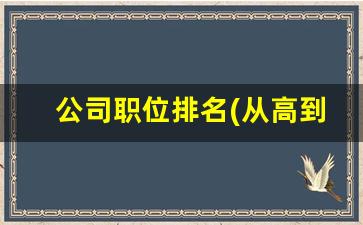 公司职位排名(从高到低),集团公司管理架构设计