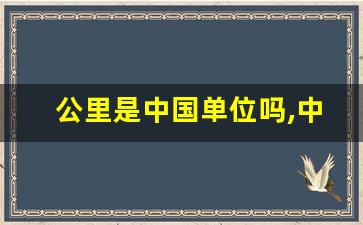 公里是中国单位吗,中国到美国多少公里