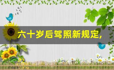 六十岁后驾照新规定,新规60岁可以继续开大货车了